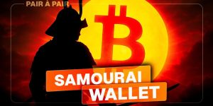 Votre vie privée est-elle en danger sur Bitcoin ? Avec Laurent MT, ancien développeur de Samouraï Wallet